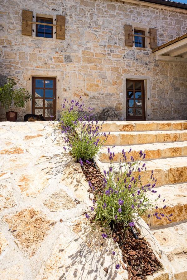 Stone House Dijana Istria Sveti Lovrec Villa Sveti Lovreč Pazenatički Exterior foto